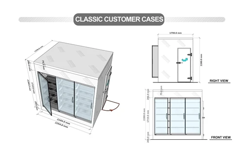 Walk In Display Cooler: Coste Glass Door Custom Project